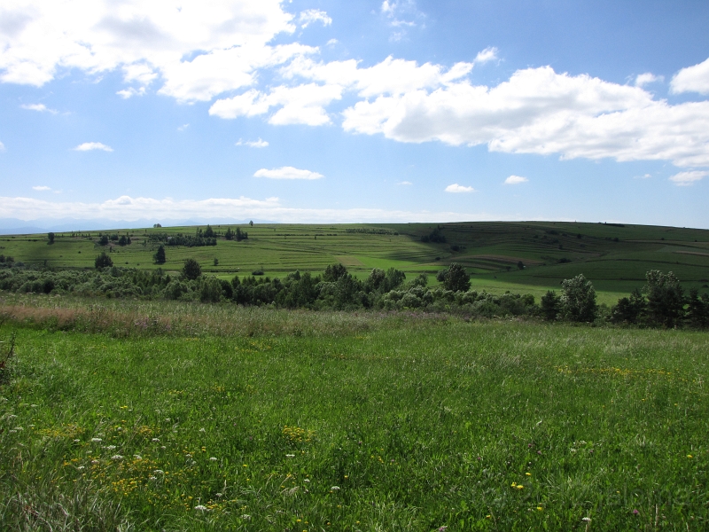 Landschaft_10198.JPG - Nach der Abfahrt vom Kapisty und vor 15%.