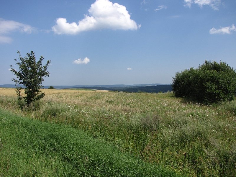 Landschaft_10606.JPG - Letzte Sicht auf den Bergen vor Przemysl.