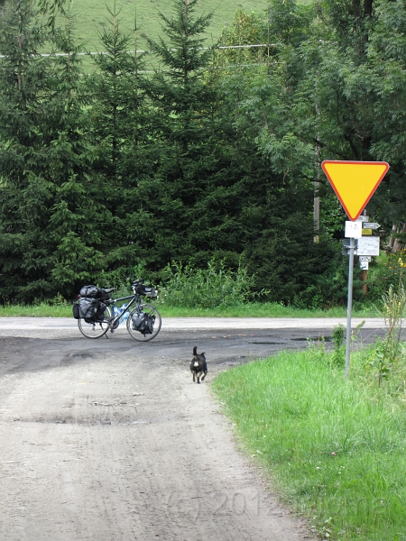 Schilder_10472.JPG - Wer beachtet dieses Schild?!?