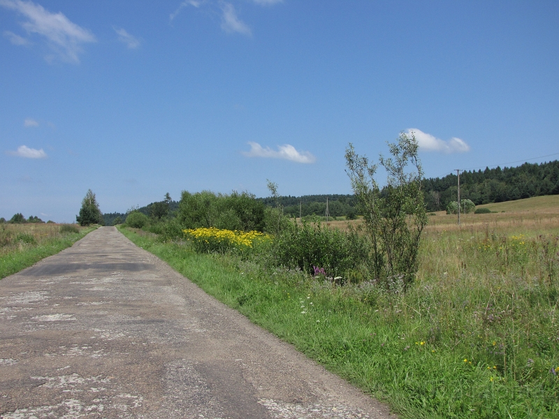 Landschaft_Strasse_10521.JPG