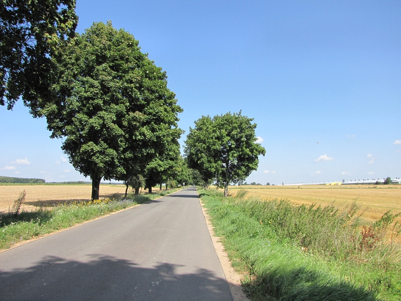 Landschaft_Strasse_10909"