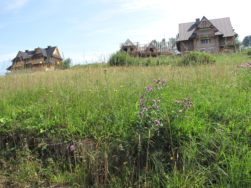 Landschaft_10230_Zakopane.JPG - und im Bau