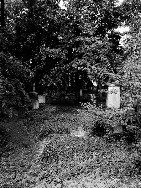 IMG_1100.JPG - Düsterer Friedhof